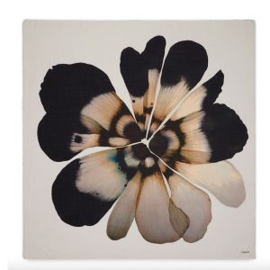 Faliero Sarti shawl Fiorellina Z